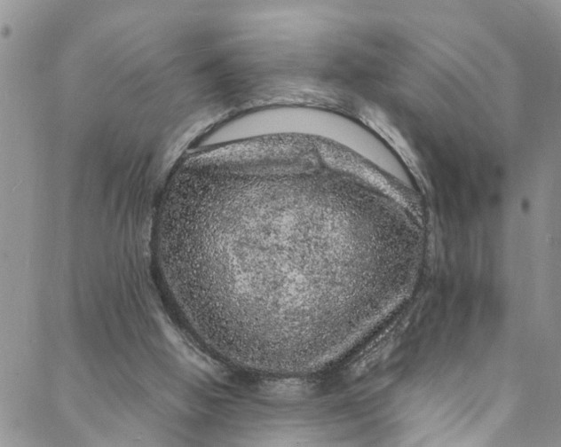 X0000088030058200705251127