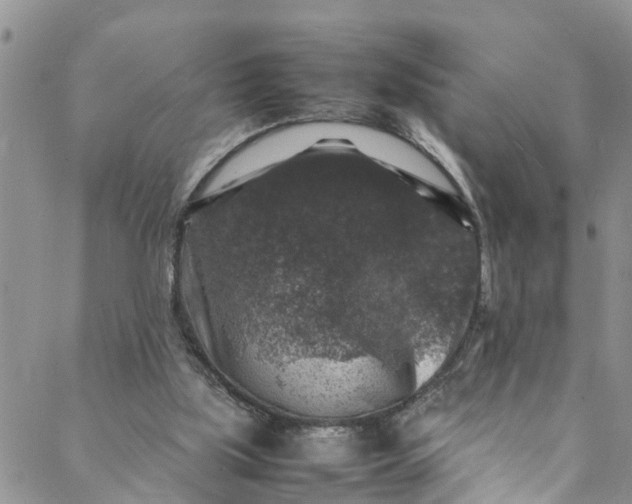 X0000088030059200705251127