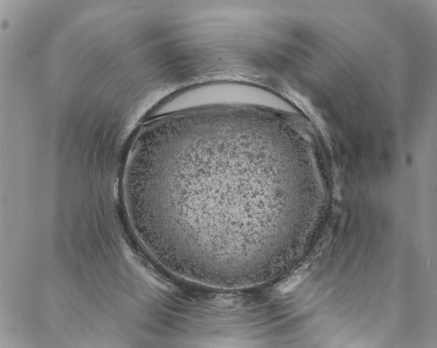 X0000088030060200705251127