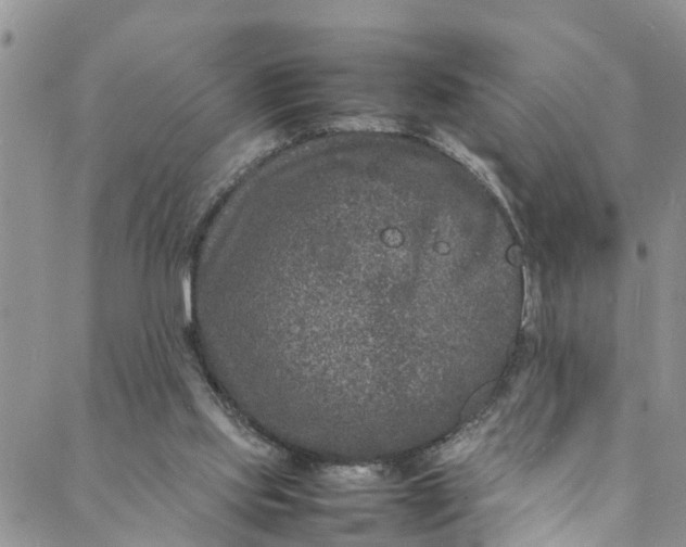 X0000088030061200705251127