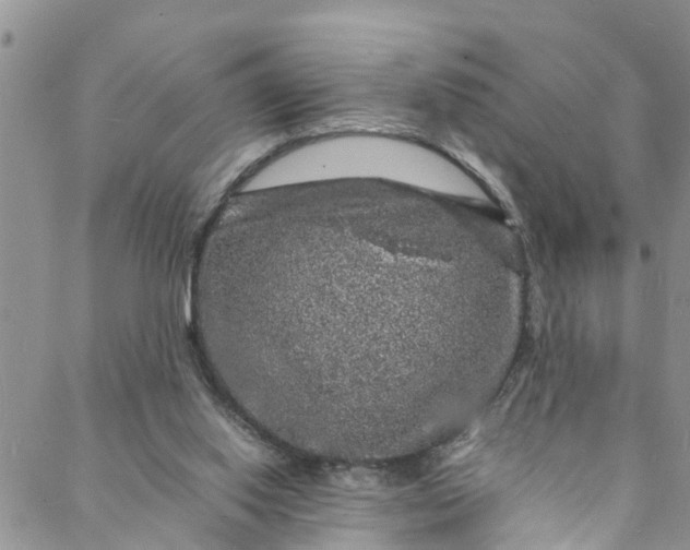 X0000088030062200705251127