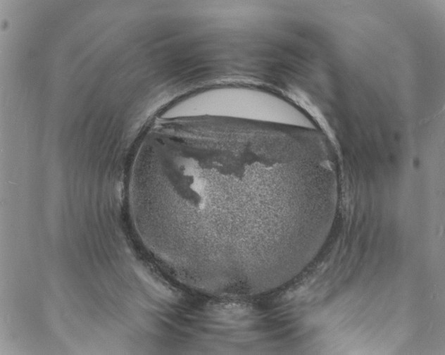 X0000088030063200705251127