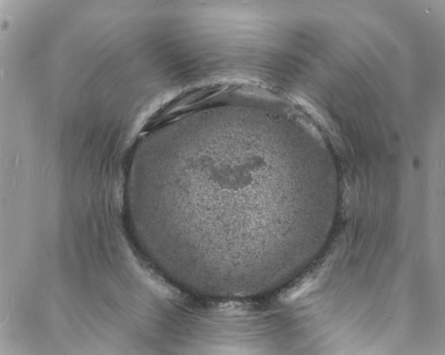 X0000088030064200705251127