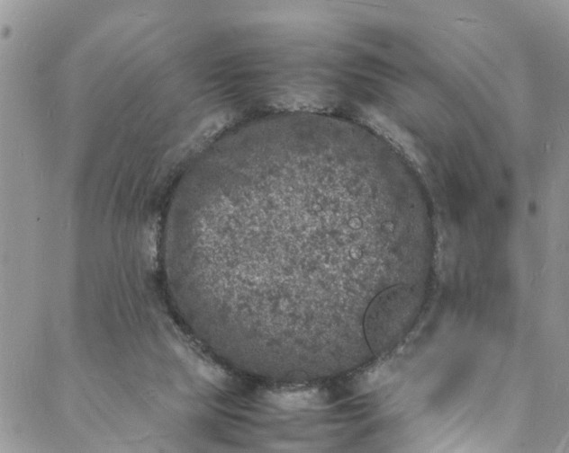 X0000088030065200705251127