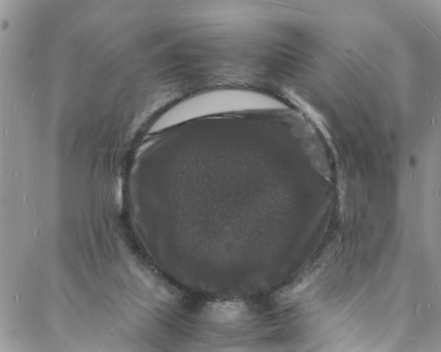 X0000088030067200705251127