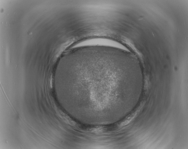 X0000088030068200705251127