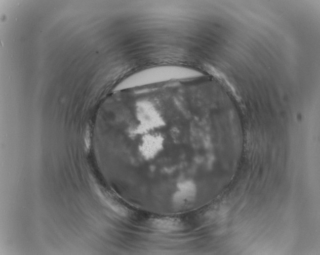 X0000088030069200705251127