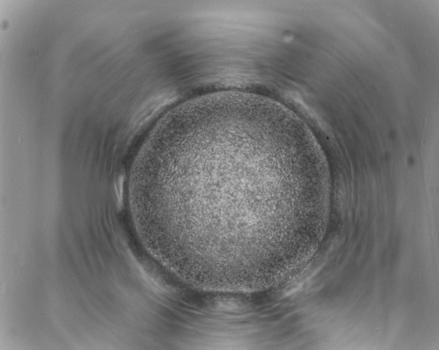 X0000088030070200705251127