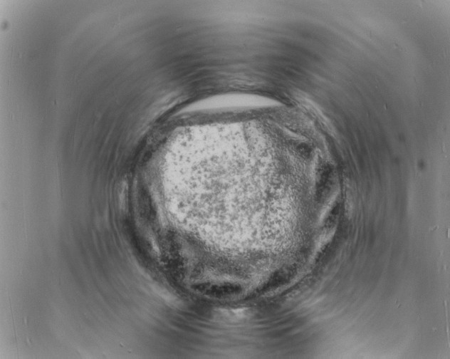 X0000088030071200705251127