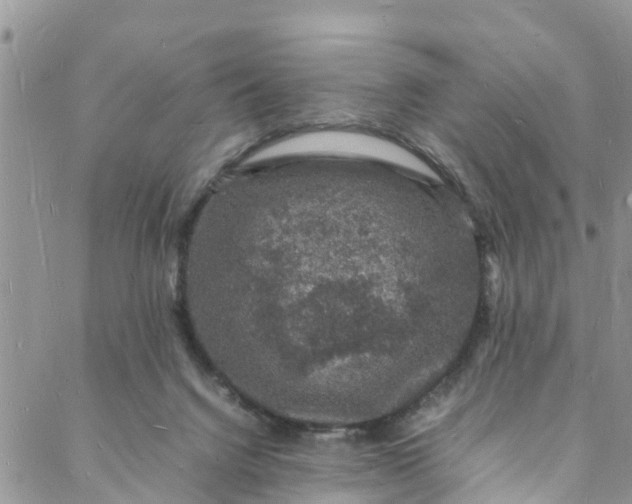 X0000088030072200705251127