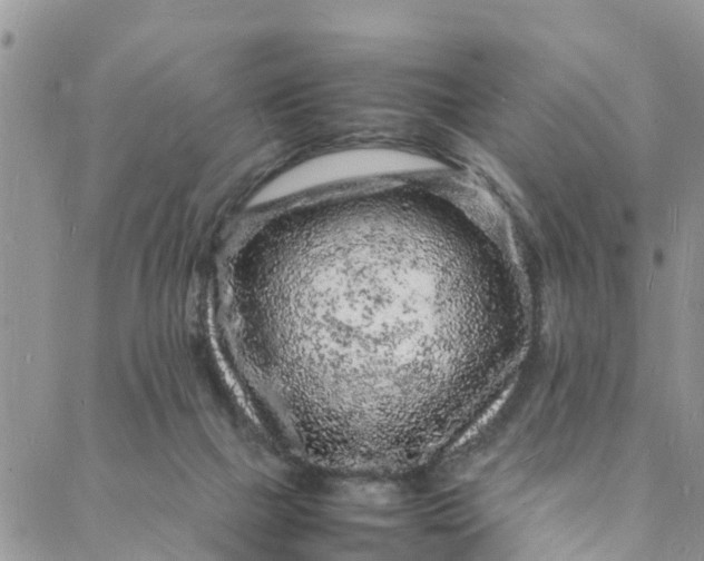 X0000088030073200705251127