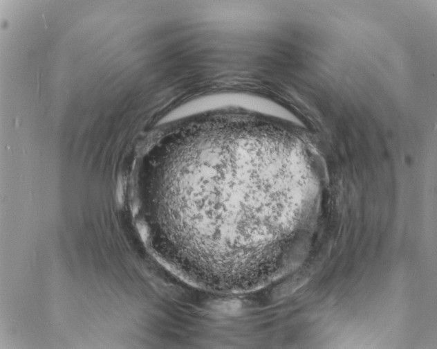 X0000088030075200705251127