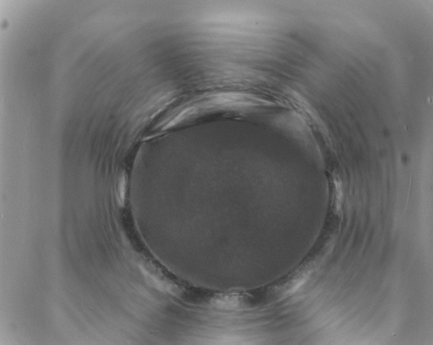 X0000088030076200705251127