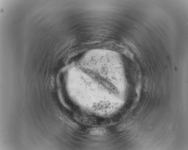 X0000088030077200705251127