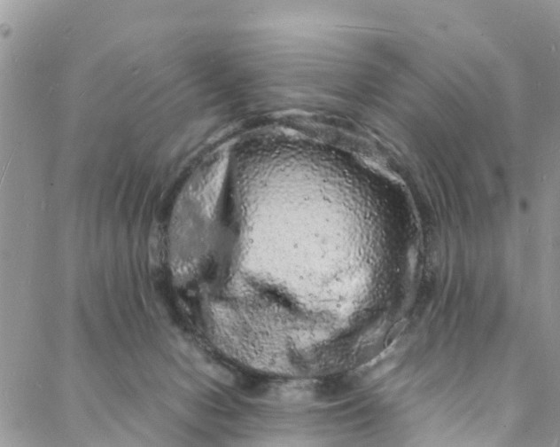 X0000088030078200705251127