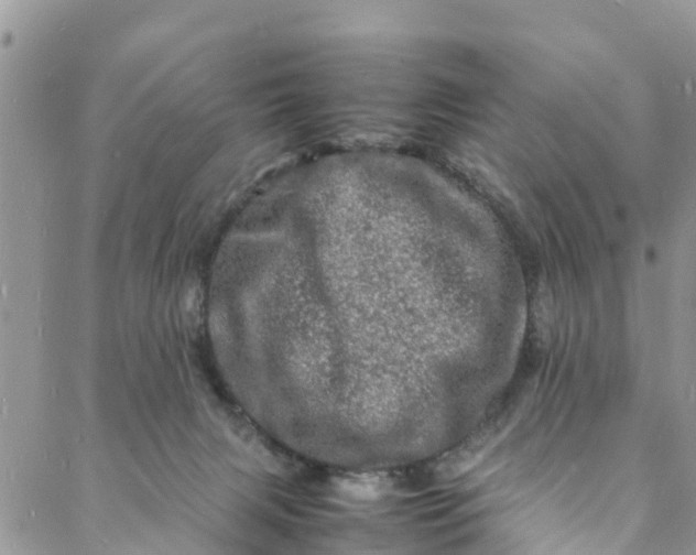 X0000088030079200705251127