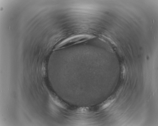 X0000088030080200705251127