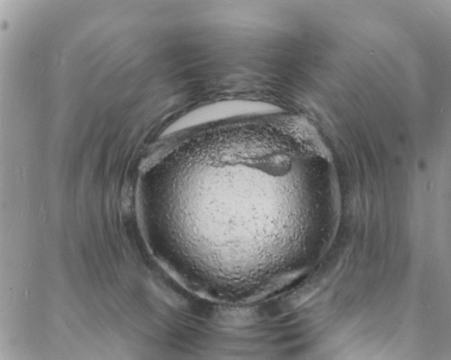 X0000088030081200705251127