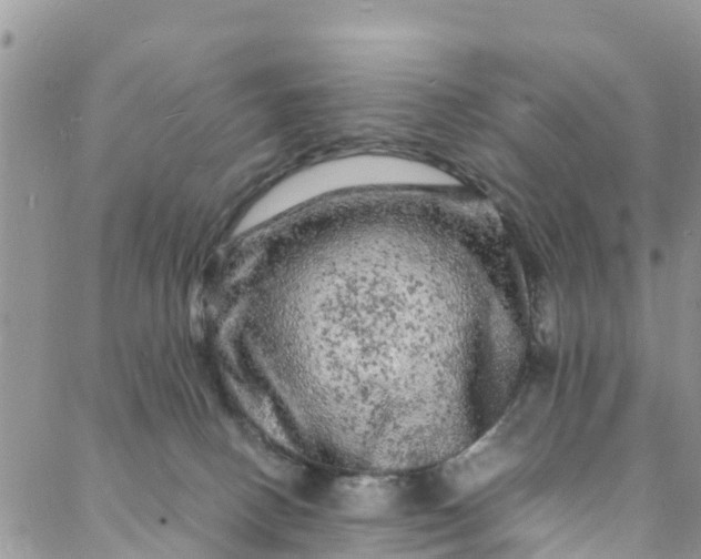 X0000088030082200705251127