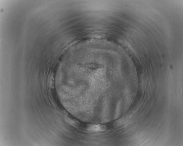 X0000088030083200705251127