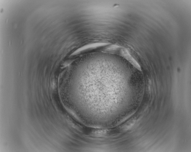 X0000088030084200705251127