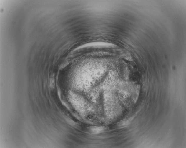 X0000088030085200705251127