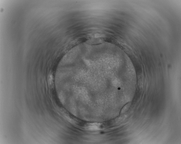 X0000088030087200705251127