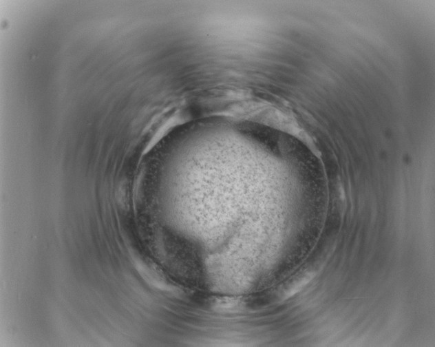 X0000088030088200705251127