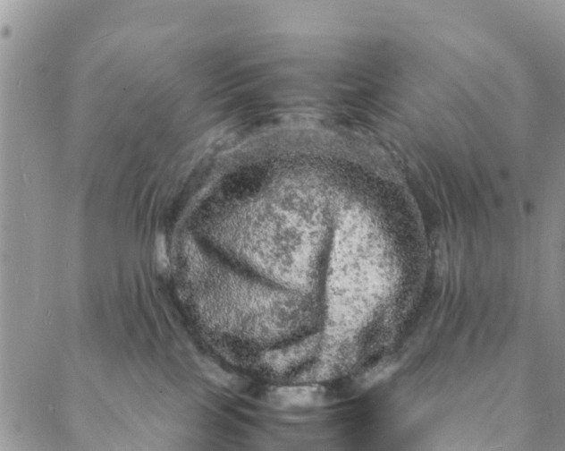 X0000088030089200705251127