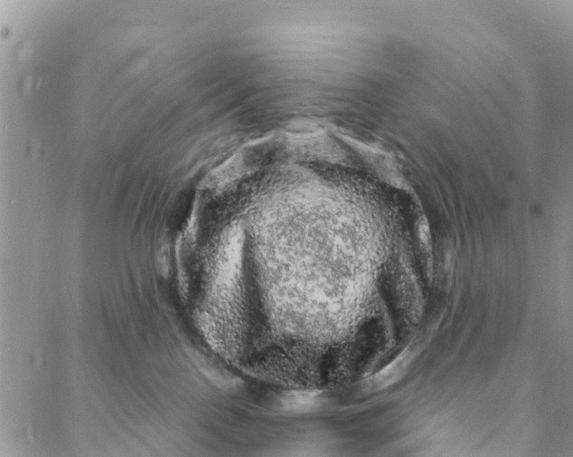 X0000088030090200705251127