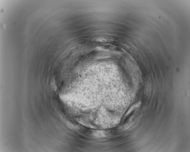 X0000088030091200705251127