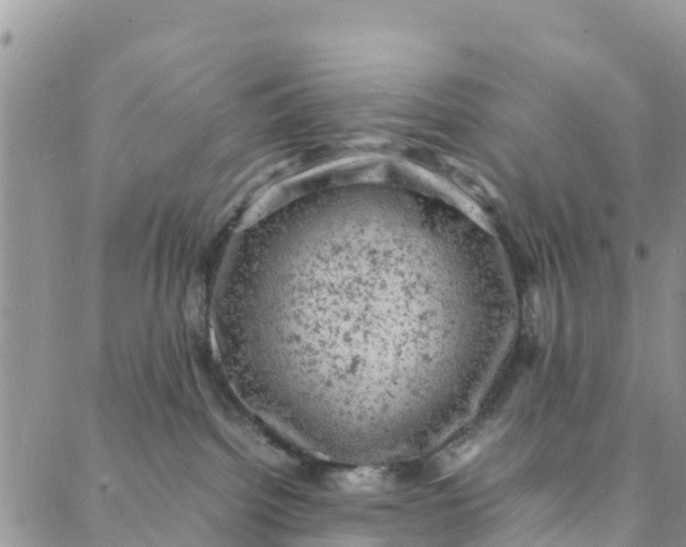 X0000088030092200705251127