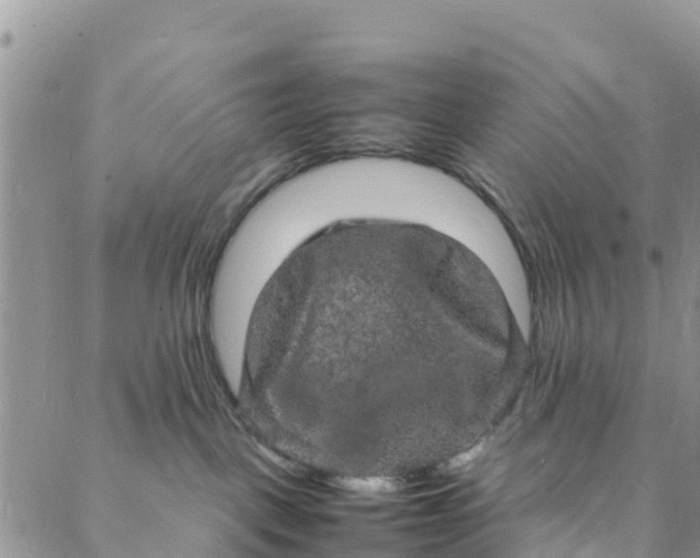 X0000088030093200705251127