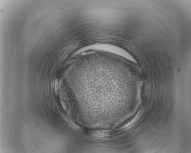 X0000088030094200705251127