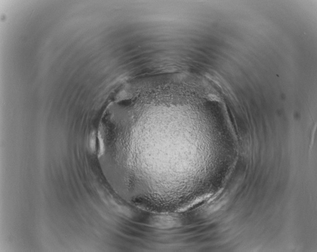 X0000088030095200705251127