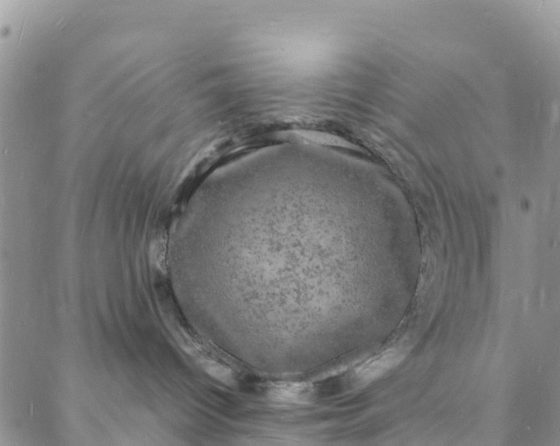 X0000088030096200705251127