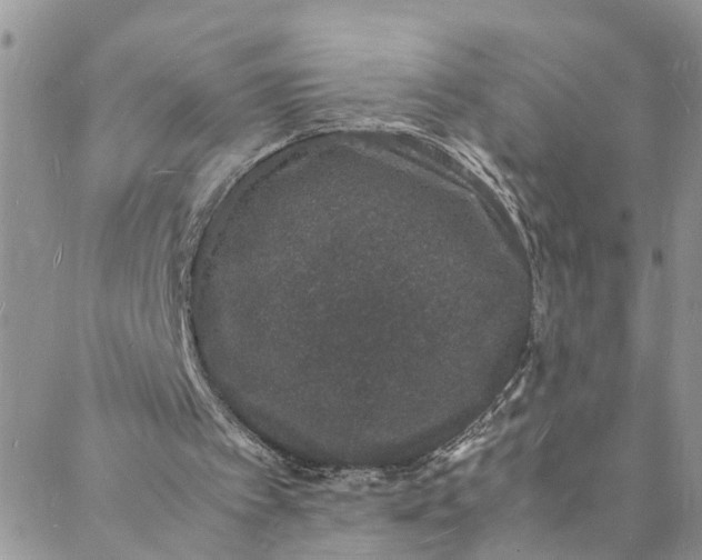 X0000088030097200705251126