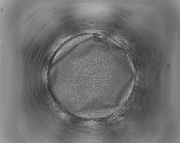 X0000088030098200705251126