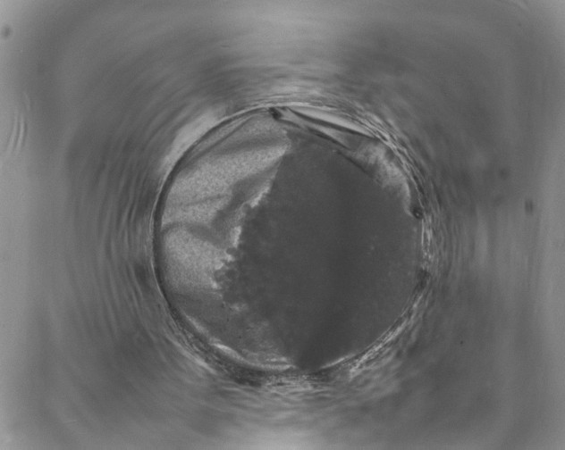 X0000088030099200705251126