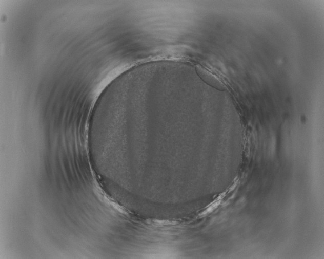 X0000088030100200705251126