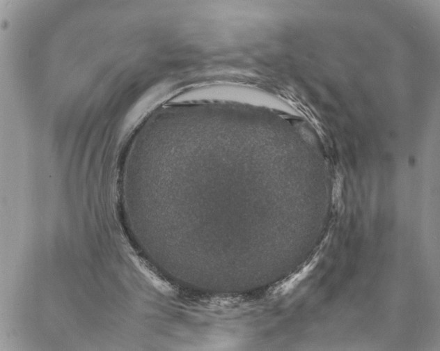 X0000088030101200705251126