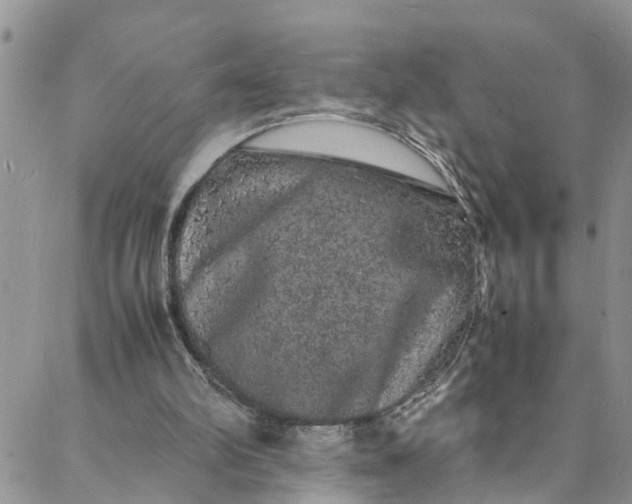 X0000088030102200705251126