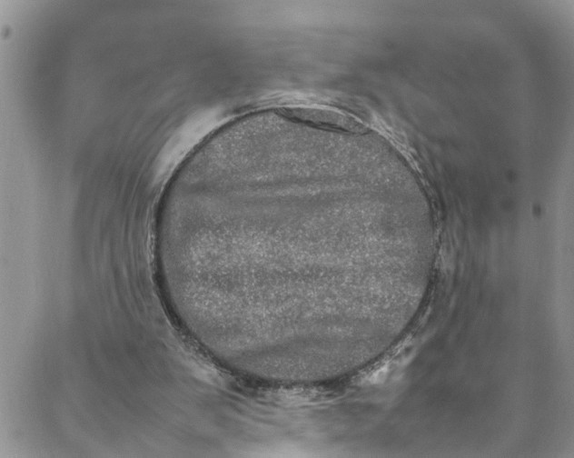 X0000088030103200705251126