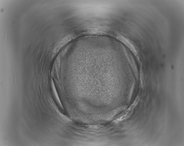 X0000088030105200705251126