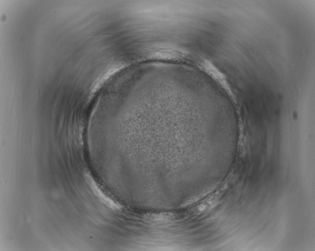 X0000088030106200705251126