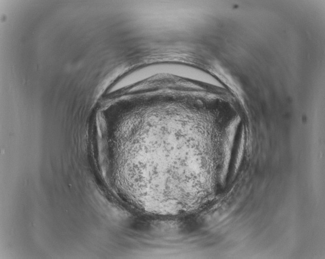 X0000088030107200705251126