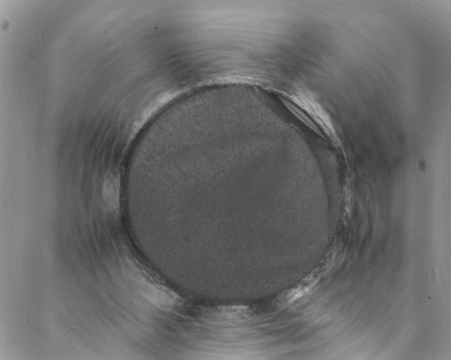 X0000088030108200705251126