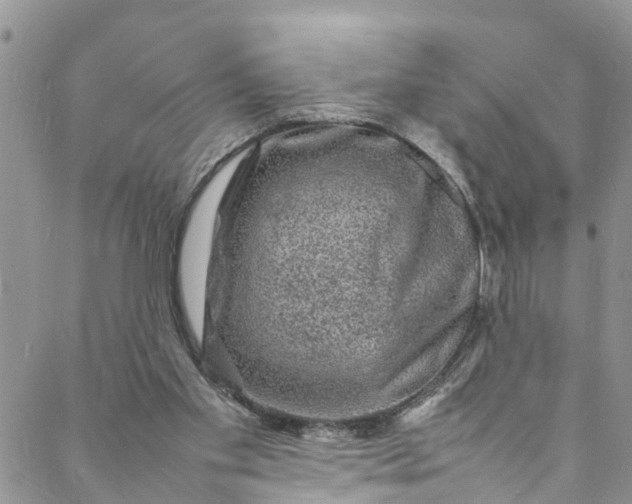 X0000088030109200705251126