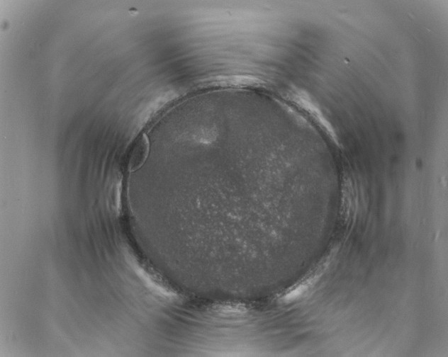 X0000088030110200705251126