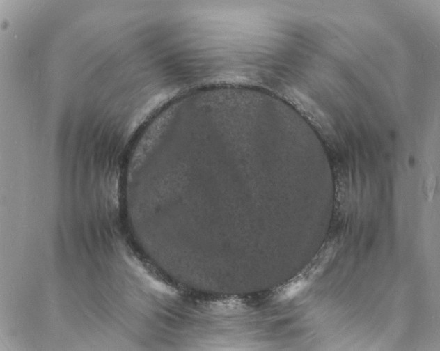 X0000088030112200705251126